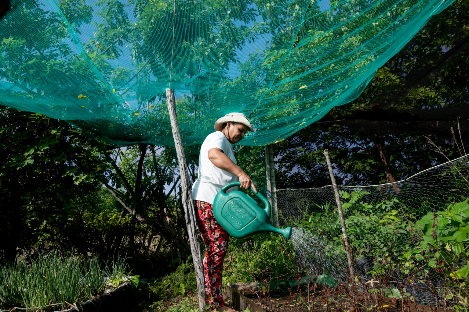 Desmatamento Da Caatinga A Floresta Do Semi Rido Centro De