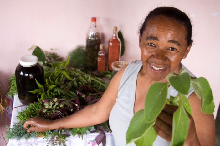 Ervas selecionadas para preparacao de remedios Dona Maria da Luz Vladia Lima IMG 5863