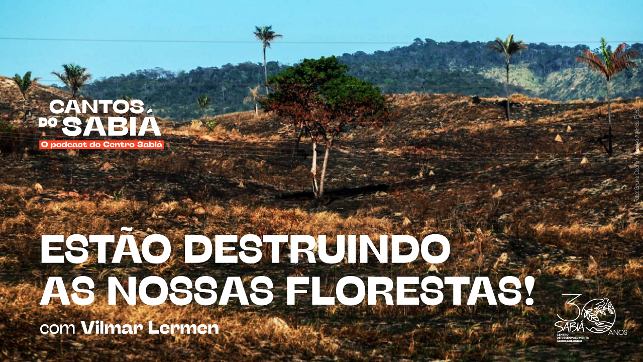 A morte dos rios - Greenpeace Brasil