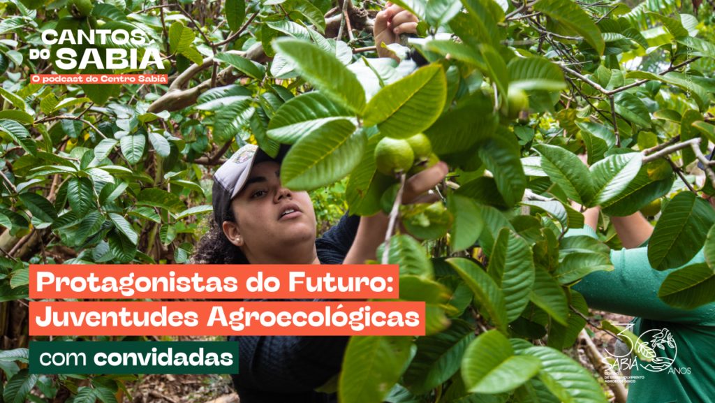 Protagonistas do Futuro: Juventudes Agroecológicas | Cantos do Sabiá