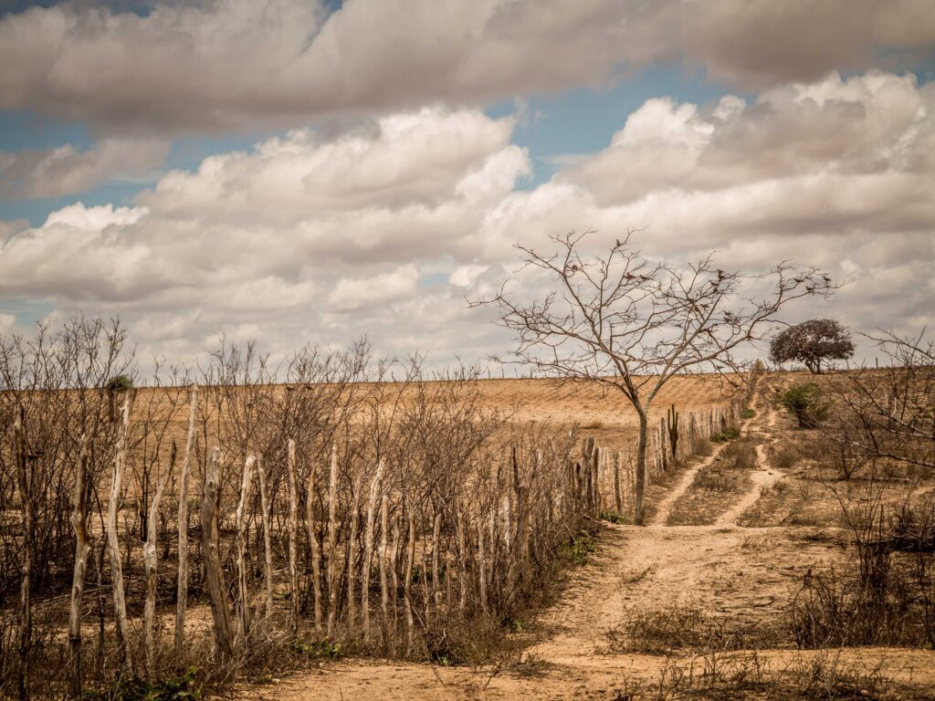 Secas, superpopulação e fome: o futuro exige justiça climática