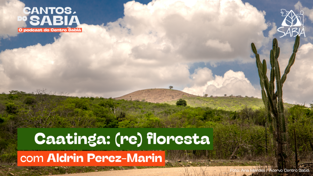 Caatinga: (re) floresta | Cantos do Sabiá