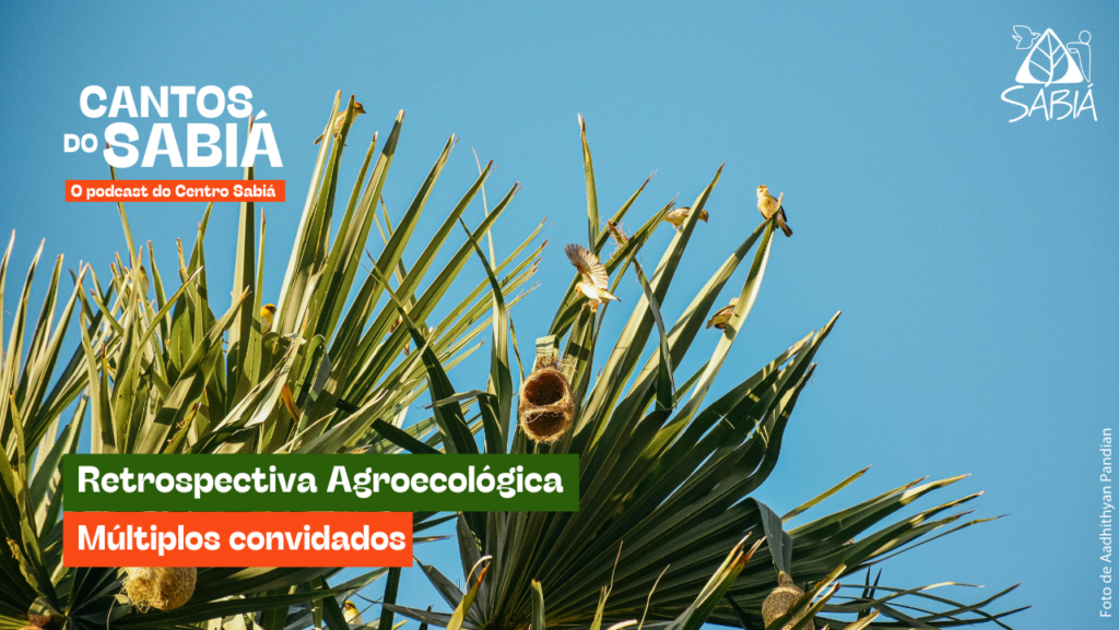 Retrospectiva Agroecológica | Cantos do Sabiá