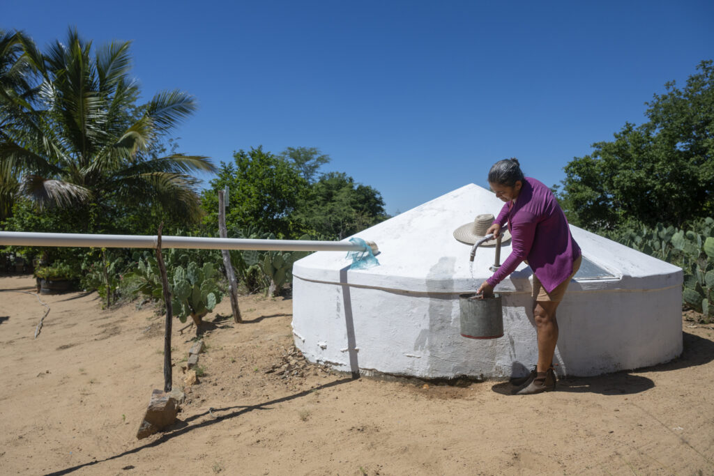 Caatinga, do esquecimento à vanguarda climática