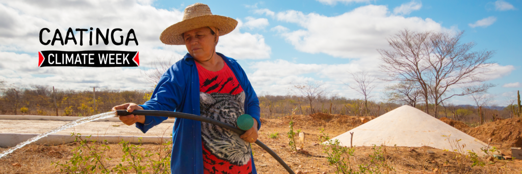 Dia da Caatinga ganha projeções em São Paulo, Brasília e Recife para falar sobre o bioma e a crise do clima