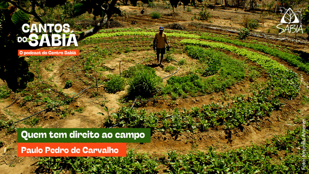 Quem tem direito ao campo – Cantos do Sabiá