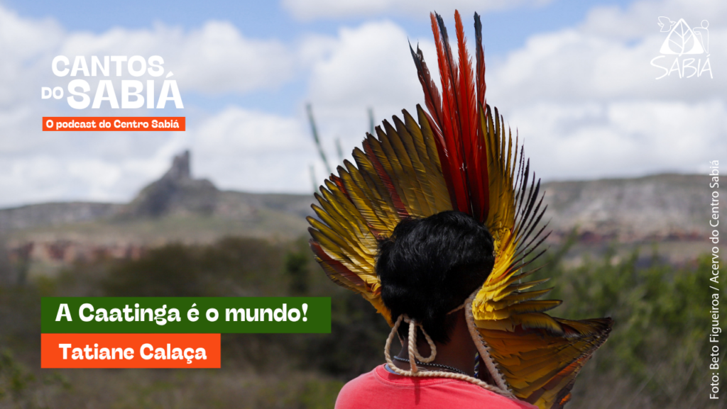 A Caatinga é o mundo! – Cantos do Sabiá