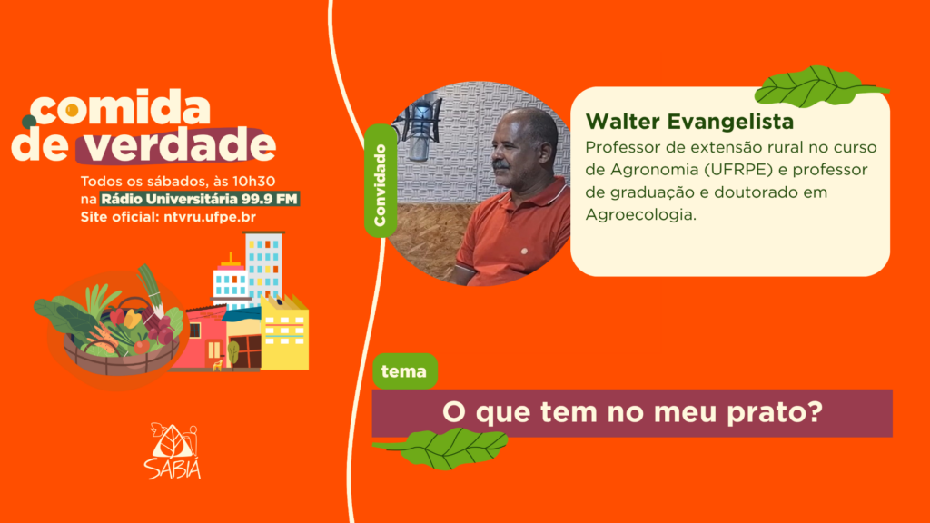 O que tem no meu prato? – Comida de Verdade