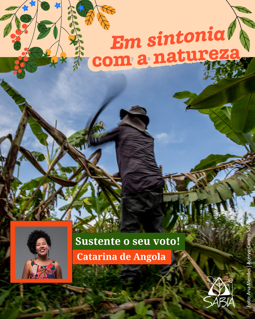 Sustente o seu voto! – Cantos do Sabiá