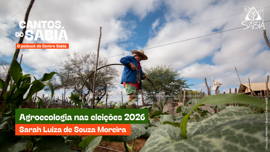 Agroecologia nas eleições 2026 – Cantos do Sabiá