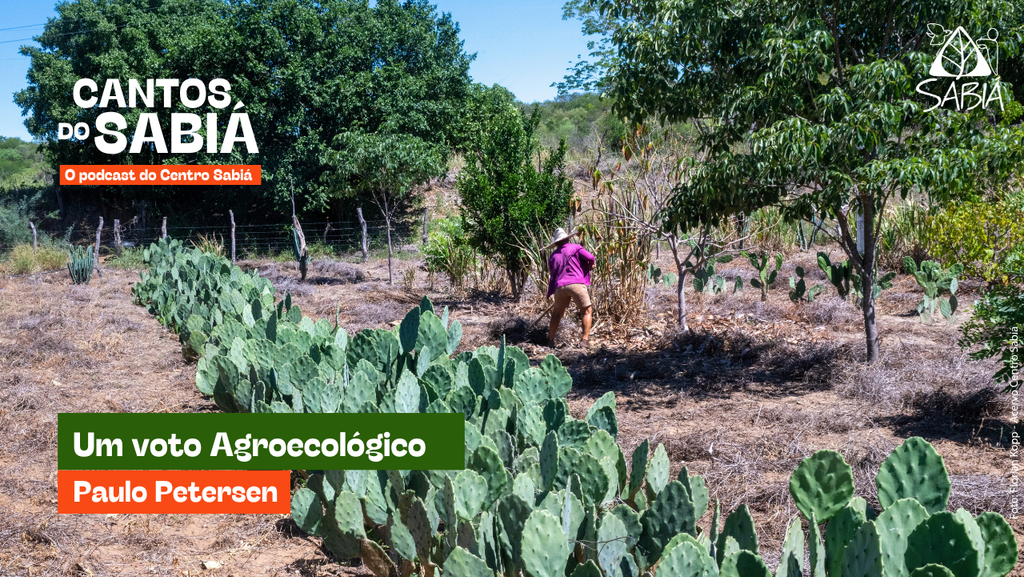 Um voto Agroecológico (Especial) – Cantos do Sabiá
