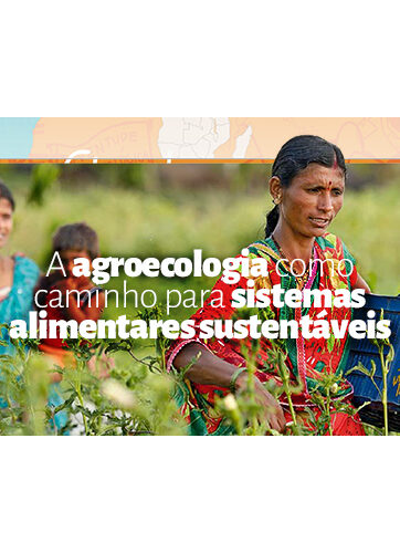A agroecologia como caminho para sistemas alimentares sustentáveis