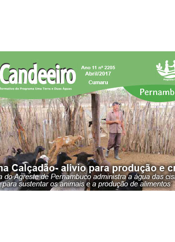 O Candeeiro Nº 2205 - ABR.2017 - Cumaru