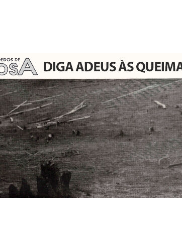 Jornal Dois Dedos de Prosa Nº 13