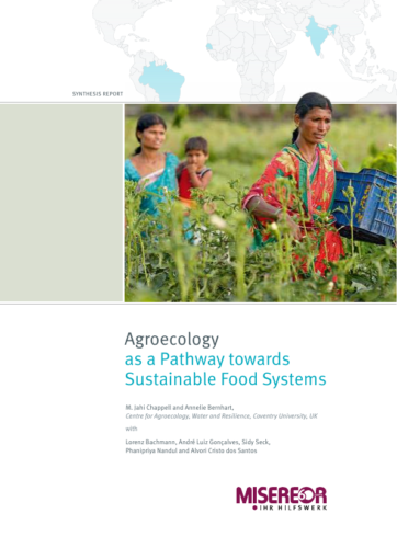 Agroecology as a Pathway Towards Sustainable Food Systems - Pesquisa - Misereor - Inglês