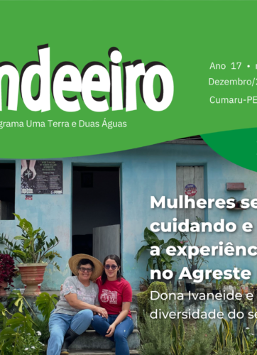 O Candeeiro Nº 2641 – DEZ.2024 – Cumaru